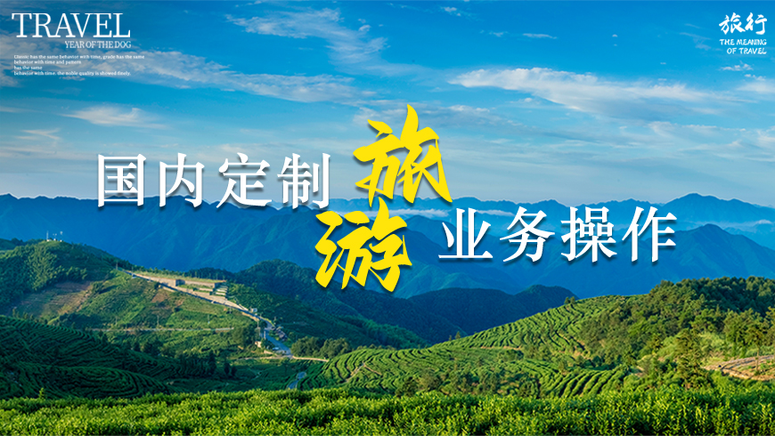 国内定制游业务操作
